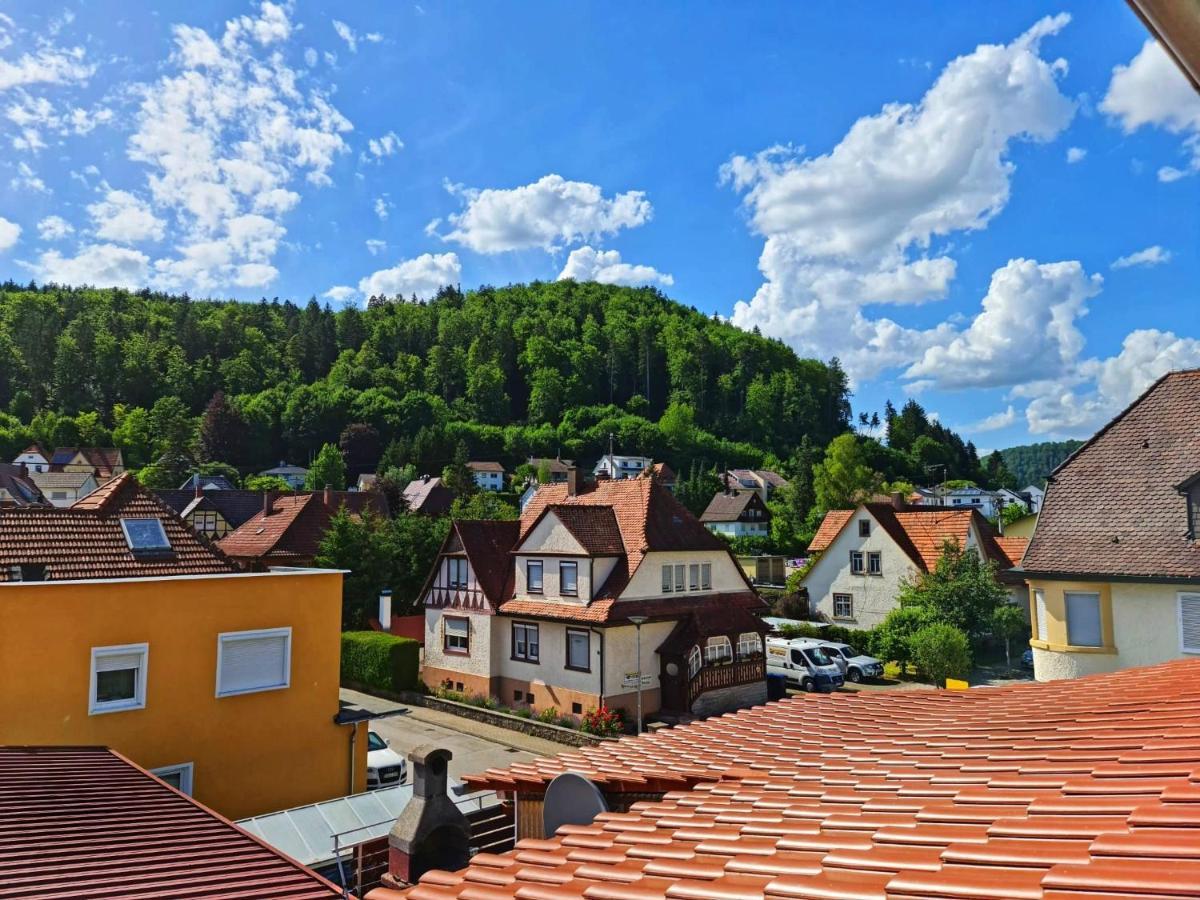 Pension Transilvania Immendingen Exteriér fotografie