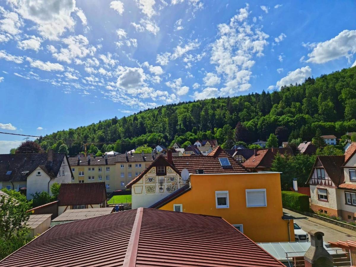 Pension Transilvania Immendingen Exteriér fotografie